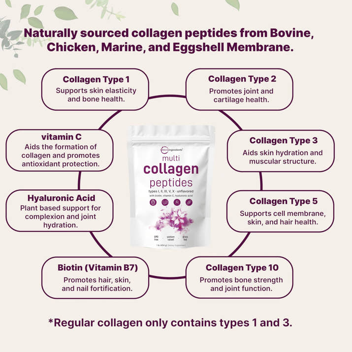 Multi Collagen Peptides Powder
