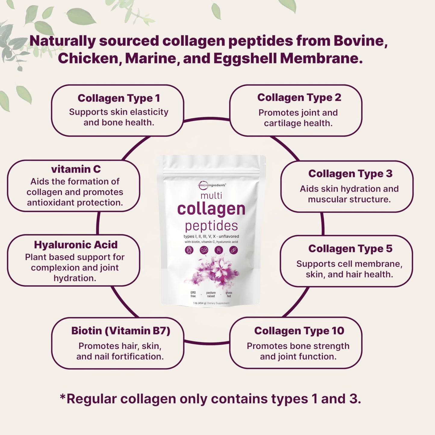 Multi Collagen Peptides Powder